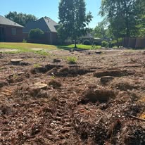 Residential yard with stumps ground and mulched
