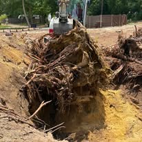 Excavator removing a large root ball from the ground
